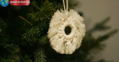Celebrate World Kindness Day with a Special Christmas Tree at Four Seasons Chiang Mai