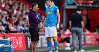 Jørgen Strand Larsen Reflects on Wolverhampton Wanderers’ Decision to Part Ways with Vítor Pereira