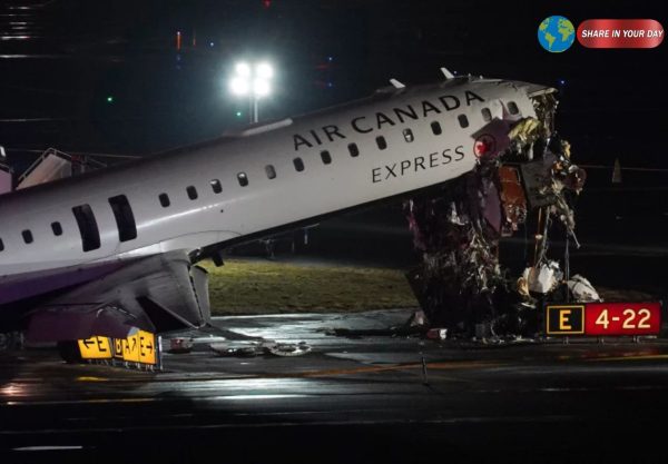 Pilot Copilot Killed: 5 Shocking LaGuardia Crash Facts