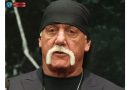 The story of Hulk Hogan fentanyl use has stunned fans worldwide after explosive details emerged from his final interview in a new Netflix docuseries. The legendary wrestler, born Terry Bollea, revealed he consumed life-threatening amounts of fentanyl daily while battling severe physical pain following his divorce from Linda Hogan.