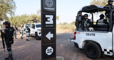 Teotihuacan Shooting Shocks Tourists: 1 Dead, 13 Injured