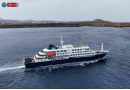 Hantavirus Outbreak Shock: 3 Dead on Cruise Ship