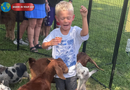 Rabies Alert: 3 Goats Test Positive at Petting Zoo