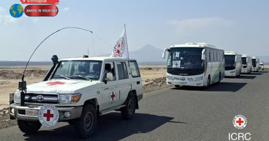 Alamata Capture: 5 Key Facts on Tigray Crisis