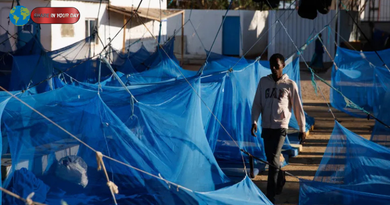 1,400 Yemenis Flee to Djibouti Amid Fierce Fighting