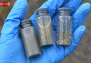 Microplastics May Generate Harmful Reactive Molecules in Water, New Study Finds